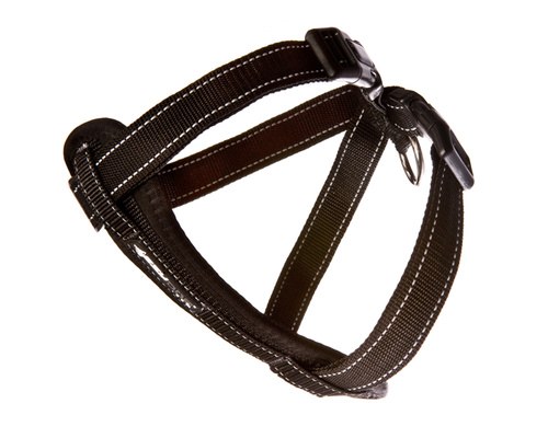 Ezydog chest best sale plate harness small