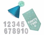 PETSPIRATION FOUNDATION BIRTHDAY HAT AND BANDANA