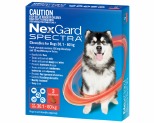 NEXGARD SPECTRA 30.1-60KG 3 PACK (RED)