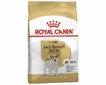 royal canin jack russell adult