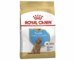 ROYAL CANIN POODLE PUPPY DRY DOG FOOD 3KG