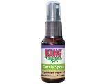 Diy catnip spray sale