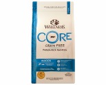 WELLNESS CORE GF INDOOR SALMON 2.2KG