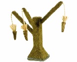 PIPKINS ALFALFA CARROT TREE