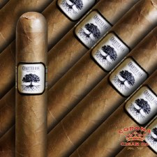 Charter Oak Shade Grande Single Cigar