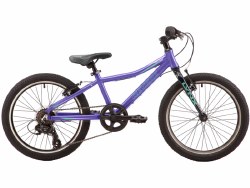 Lynx 20" Purple