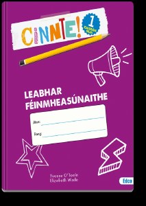 Cinnte 1 Workbook