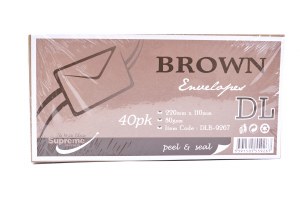 DL Brown Envelope 90Gsm 50Pk