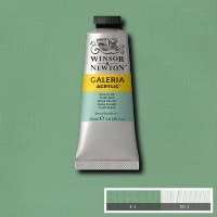 Galeria 60ml Pale Olive