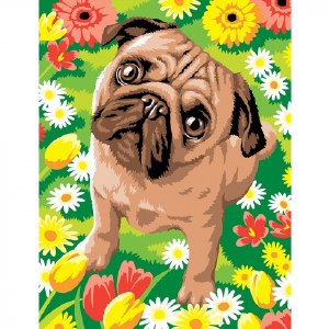 Paint by Numbers-Pug