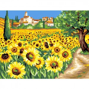 Paint By Numbers Sunflowers