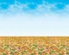 Fadeless Roll Autumn Landscape