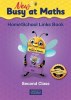 New Busy at Maths 2 Link Book