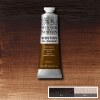 Winton 37ml Burnt Umber (3)