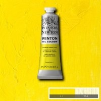 Winton 37ml Cad. Yellow (9)