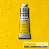 Winton 37ml Chrome Yellow (13)