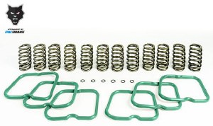 Engine Spring Kit Ram 2500, 3500 Cummins 12 Valve Engine