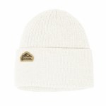Coal Mens The Coleville Beanie-Off White-OS