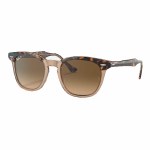 Ray Ban  Hawkeye Sunglasses-Havana/Transparent Brown/Brown Gradient-OS