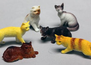 Assorted Cats 6 CT