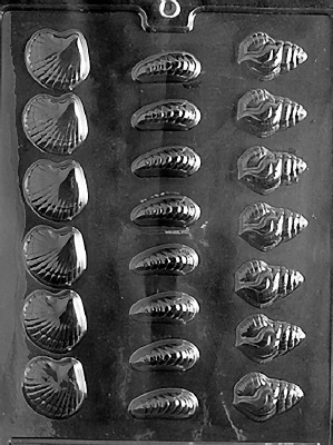 B/S Shells Mold
