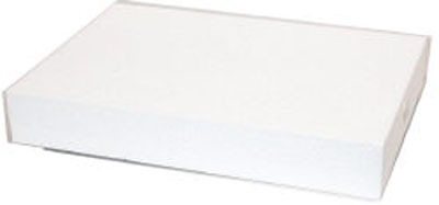 Cake Dummy Rectangle 15" X 10" X 4"