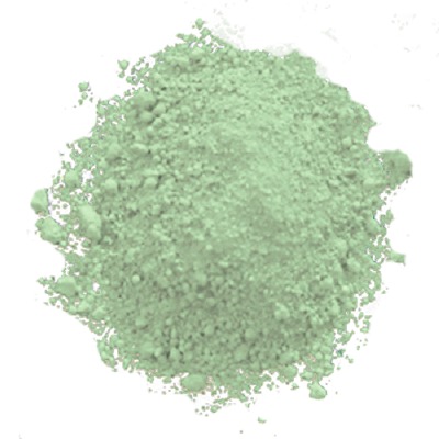 Dollar Eucalyptus Elite Color