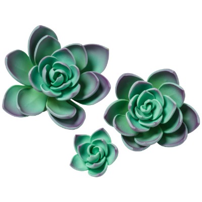 Gumpaste Succulents Purple