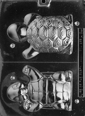 Happy 3D Turtle Front & Back