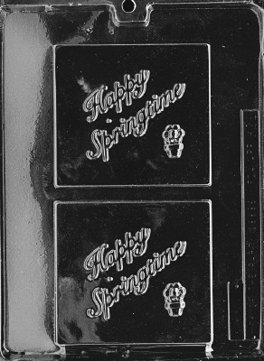 Happy Springtime Card Mold