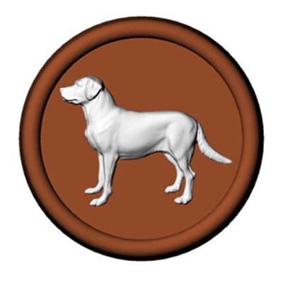 Lab.Retriever on 2.5 Round(5)