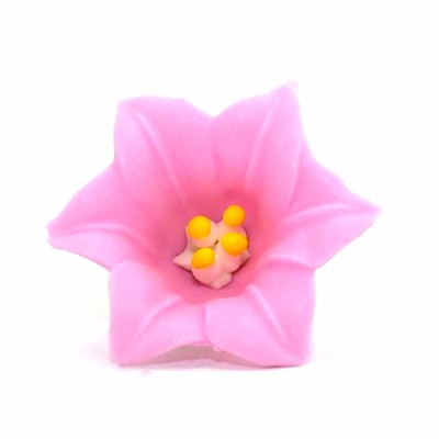 MLarge Easter Lily Pink 4 CT