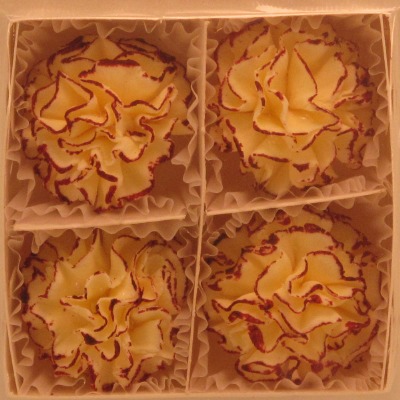 MLRG Carnation Yel/Maroon 4 CT