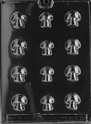 Mushrooms Mold