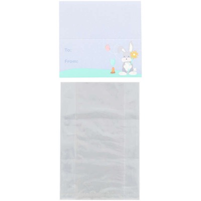Paper Treat Bag 6CT