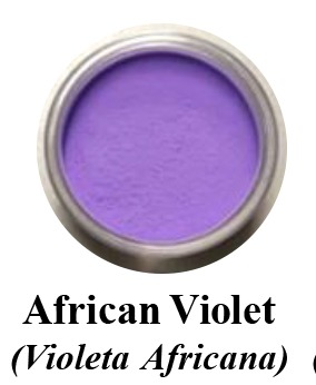 Petal Dust - African Violet