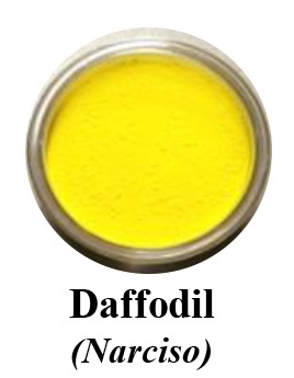 Petal Dust  - Daffodil
