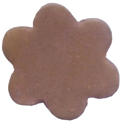 Petal Dust Mocha