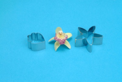 PME Stainless Steel Cutters Cymbidium Orchid