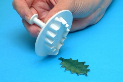 PME Vein Holly Leaf Plunger MD