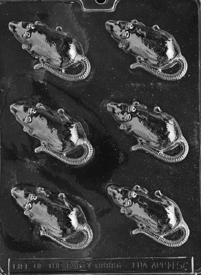 Rat Mold