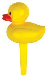 Ducky Pics 6 CT