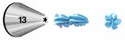 Standard Open Star Tip #13