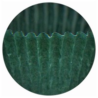 #4 Green Candy Cup 3,500 CT