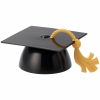 Black Grad Capw/Tassel