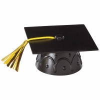 Cake Topper – XL Grad Cap and Diploma Pick silver – Cake Connection