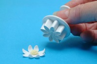 Daisy Margurite Plunger 19MM