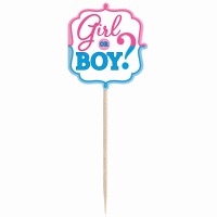 Girl or Boy? Cupcake Pic