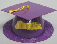 Graduation Hat - Purple