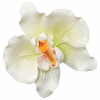 Gum Paste Orchid